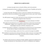 bienfaits